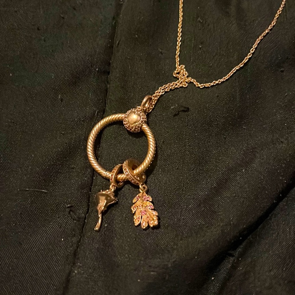 14k Rose Gold Pandora Necklace with Two Charms.